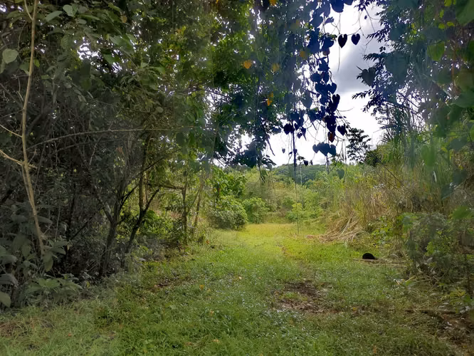 Venta de terreno en Guápiles, Limón 15795 - Imagen 9