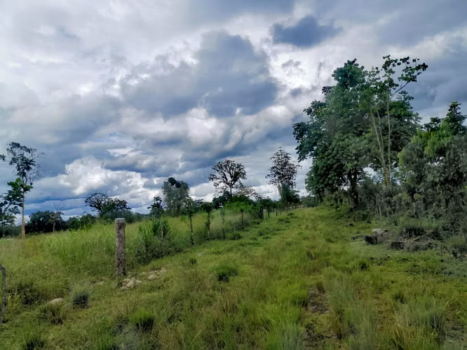 Venta de terreno en Guápiles, Limón 15795