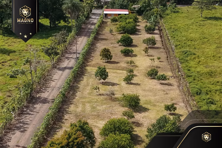 Propiedad en venta San Rafael de Esparza. - Imagen 6