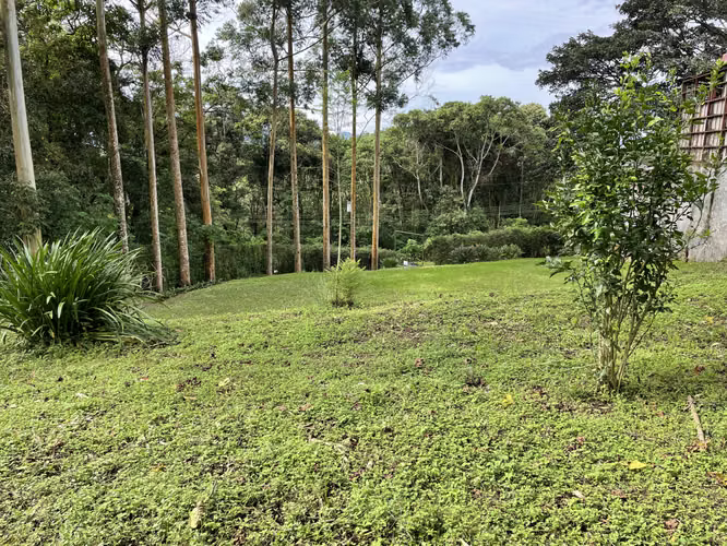 Lote residencial en venta – San Ramón de Tres Ríos (CT) - Imagen 2