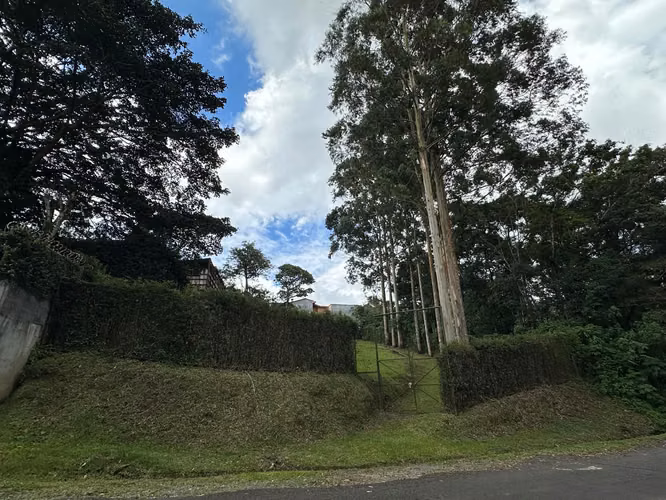 Lote residencial en venta – San Ramón de Tres Ríos (CT) - Imagen 6