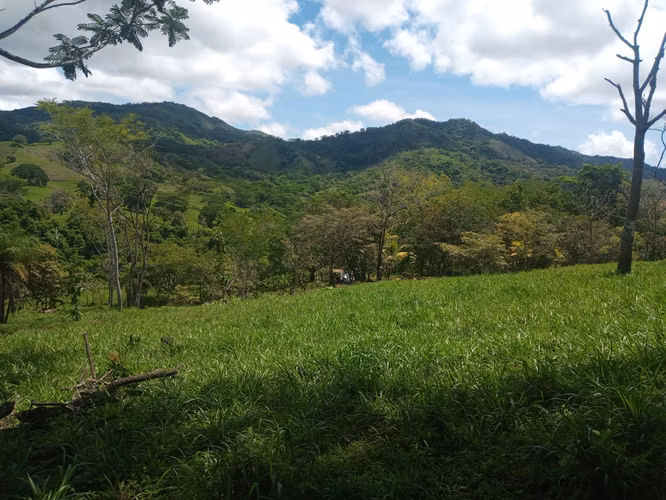 7,5 ha con Río y Cascada en la Península de Nicoya (3440) - Imagen 5