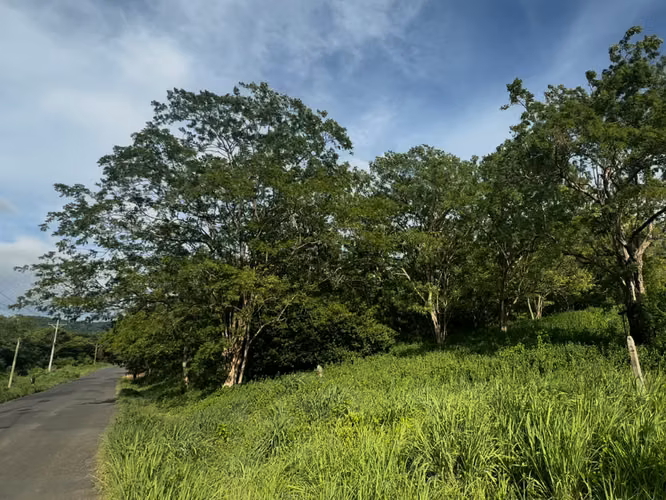 Terreno con vista al mar, cerca de la playa Guanacaste - Imagen 10