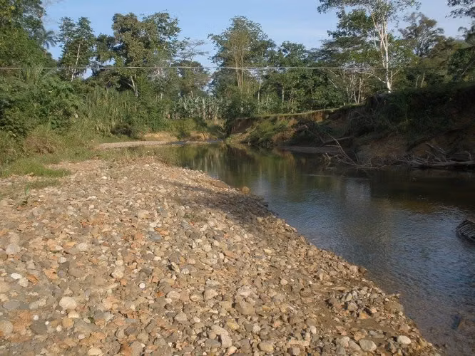 Venta de finca ganadera y con montaña en Limón - Imagen 5