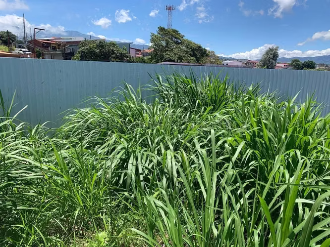 Venta de Lote en San Vicente de Moravia. RAH 27-231 - Imagen 4
