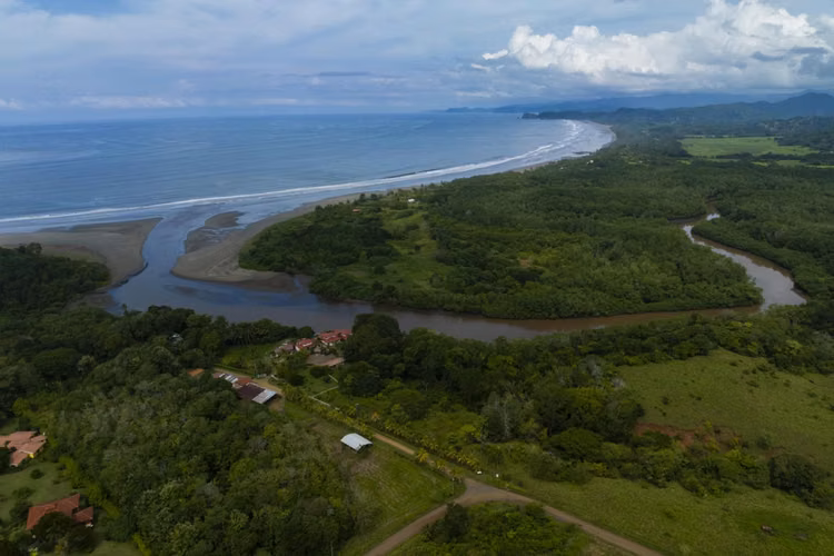 1,1ha con vista al Mar, Casa y Piscina - Imagen 19