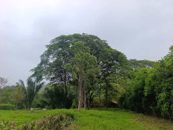 Lote de 1800 m² a solo 10 minutos de la Playa - Imagen 3