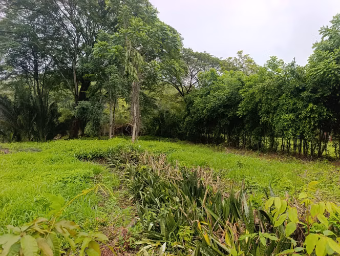 Lote de 1800 m² a solo 10 minutos de la Playa - Imagen 6