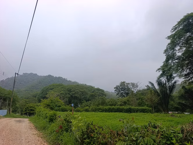Lote de 1800 m² a solo 10 minutos de la Playa - Imagen 4