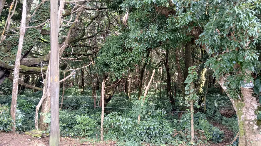 Lote plano en Residencial del Monte Tirol - 3 pajas de agua - Imagen 14