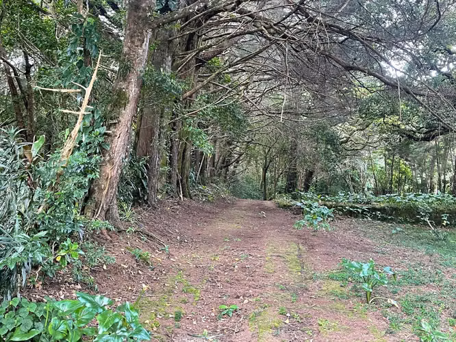 Lote plano en Residencial del Monte Tirol - 3 pajas de agua