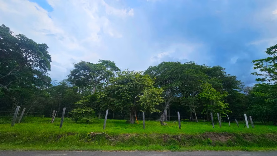 Lote Plano de 1.500 m² Cerca de Cataratas Llanos de Cortés - Imagen 3