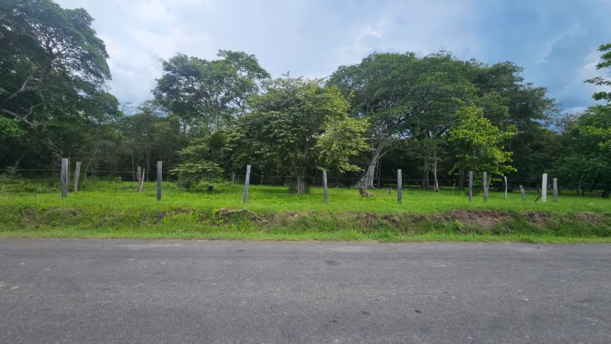Lote Plano de 1.500 m² Cerca de Cataratas Llanos de Cortés - Imagen 4
