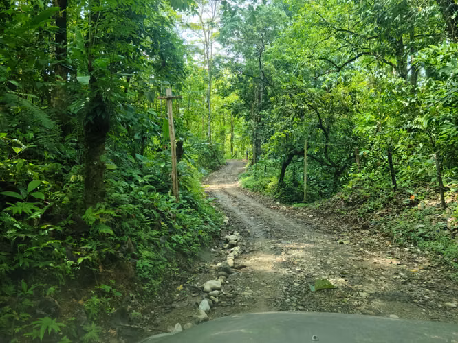 Venta Finca en Puntarenas, Palmar Norte - Imagen 9