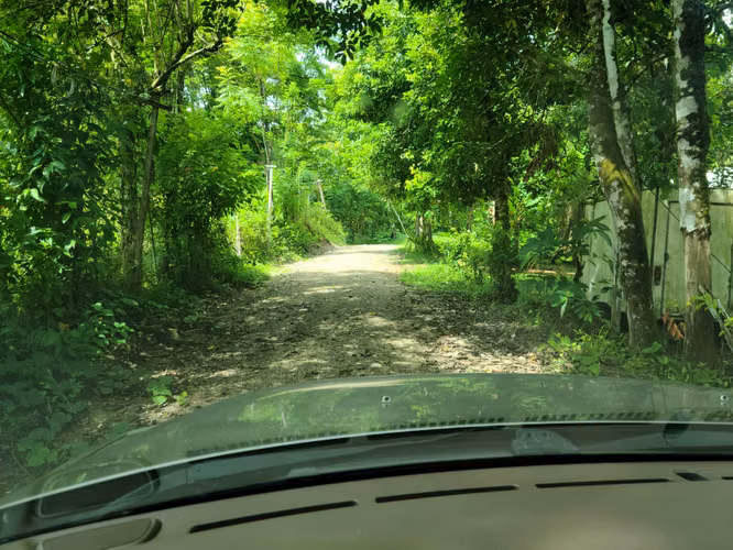 Venta Finca en Puntarenas, Palmar Norte - Imagen 7
