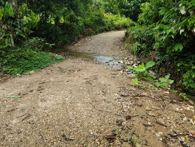 Venta Finca en Puntarenas, Palmar Norte - Imagen 4