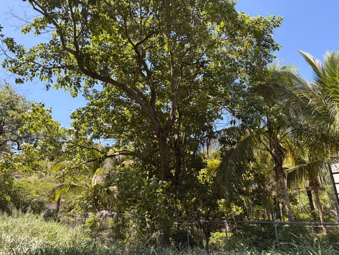 Lote en Playa Hermosa/residencial-excelente ubicación - Imagen 17