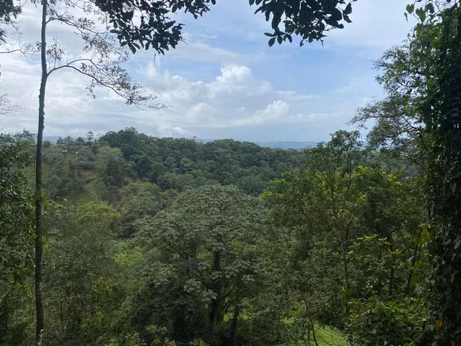Venta de terreno para inversión altamente rentable - Imagen 5