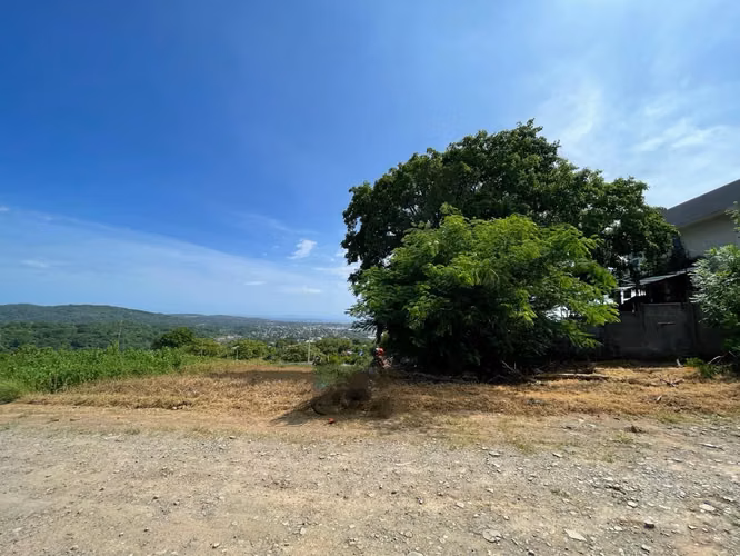 VENTA DE LOTE DE 600 M² | SAN MIGUEL DE BARRANCA, PUNTARENAS - Imagen 2