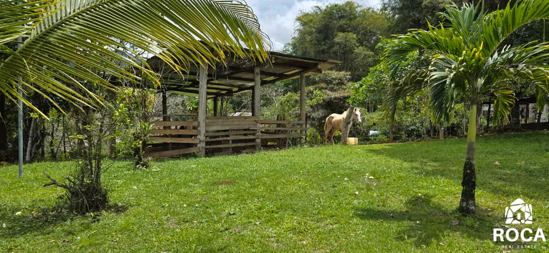 Finca en venta con casa principal y huespedes pastos y bosque 10 minutos de San Isidro - Imagen 19