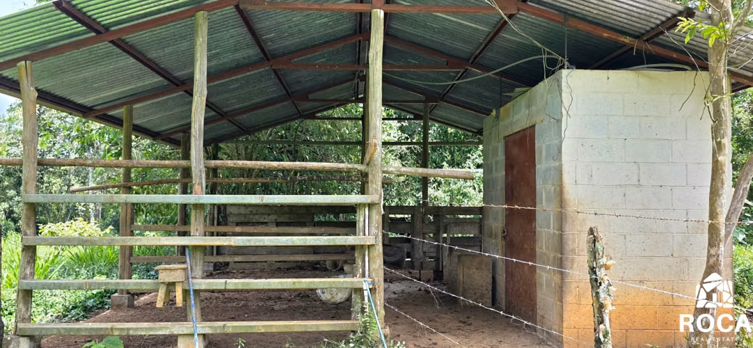 Finca en venta con casa principal y huespedes pastos y bosque 10 minutos de San Isidro - Imagen 16