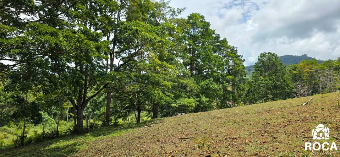 Finca en venta con casa principal y huespedes pastos y bosque 10 minutos de San Isidro - Imagen 14