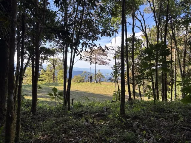 Quinta de Montaña en Tarrazú | 5.000 m2 | Bosque, Vista Panorámica y Acceso Privado