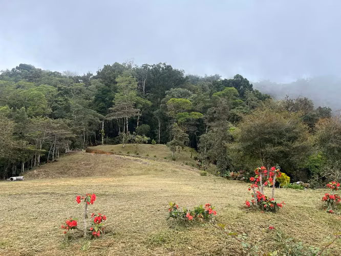 Quinta de Montaña en Tarrazú | 5.000 m2 | Bosque, Vista Panorámica y Acceso Privado - Imagen 2