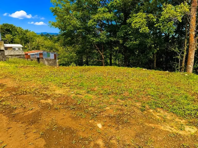 Venta de Lote en Guadalupe-Mata de Plátano. 27-248 - Imagen 6
