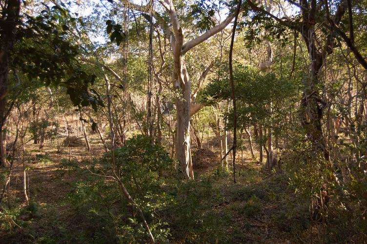 QUINTA DE PLAYA