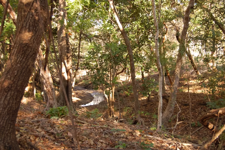 QUINTA DE PLAYA