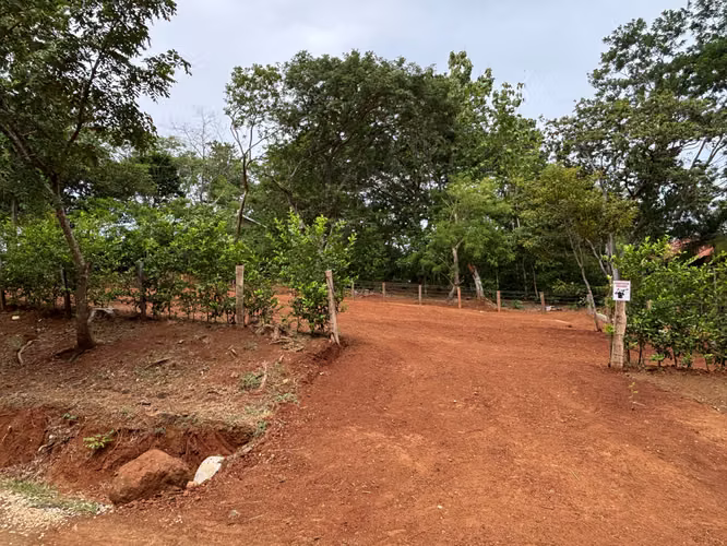 Lote Premium Listo para Construir en Pinilla - Imagen 2