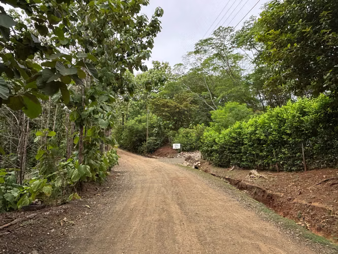 Lote Premium Listo para Construir en Pinilla - Imagen 6