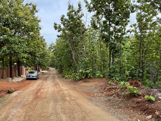 Lote Premium Listo para Construir en Pinilla - Imagen 8
