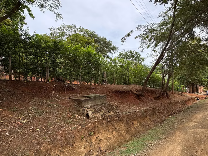Lote Premium Listo para Construir en Pinilla - Imagen 7