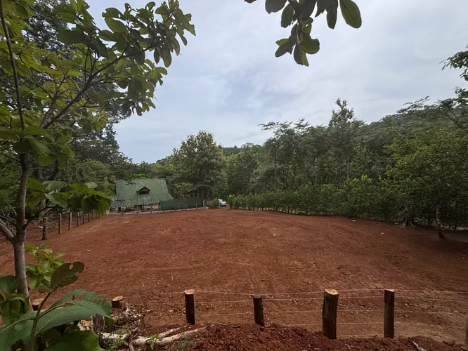 Lote Premium Listo para Construir en Pinilla - Imagen 3