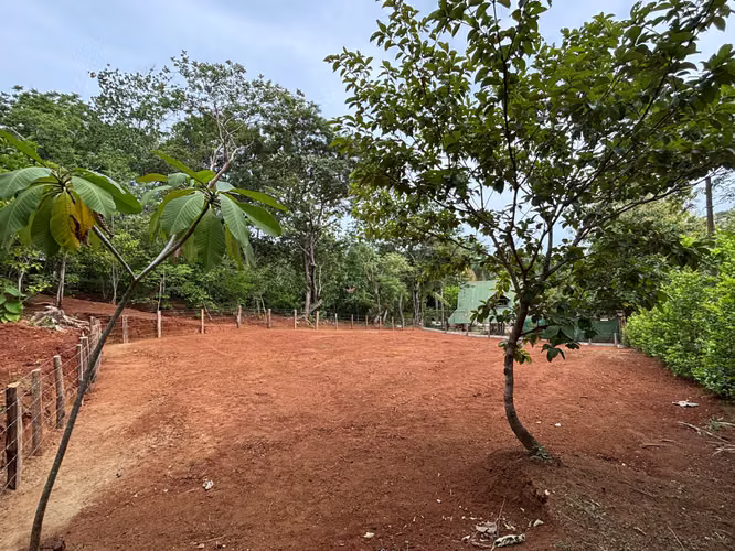 Lote Premium Listo para Construir en Pinilla - Imagen 4