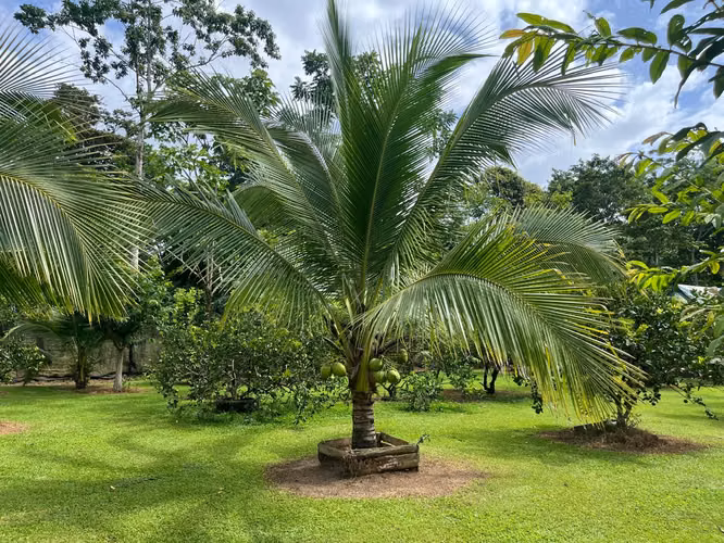 OASIS CAMPESTRE TOTALMENTE EQUIPADO EN SAN JOSÉ DE UPALA - Imagen 14