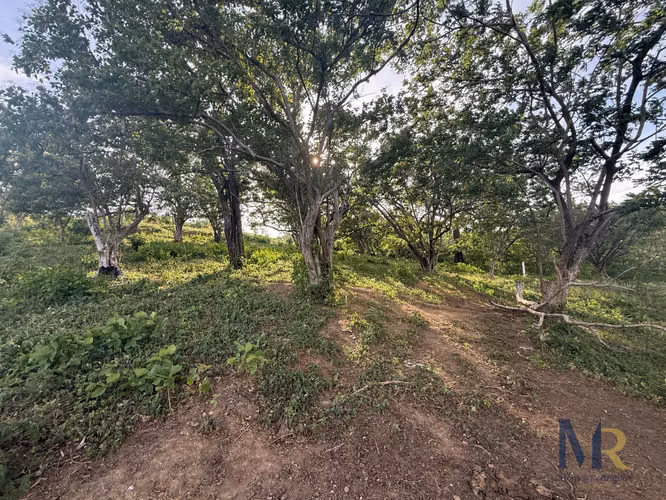 Oportunidad de Inversión en Guanacaste, cerca de la playa - Imagen 11