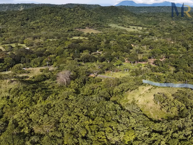 Oportunidad de Inversión en Guanacaste, cerca de la playa - Imagen 7