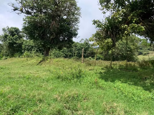 Venta de Lote en Vásquez Coronado-Dulce Nombres. 27-267 - Imagen 9