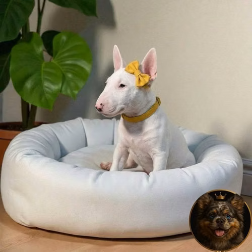 Bull Terrier - Imagen 3