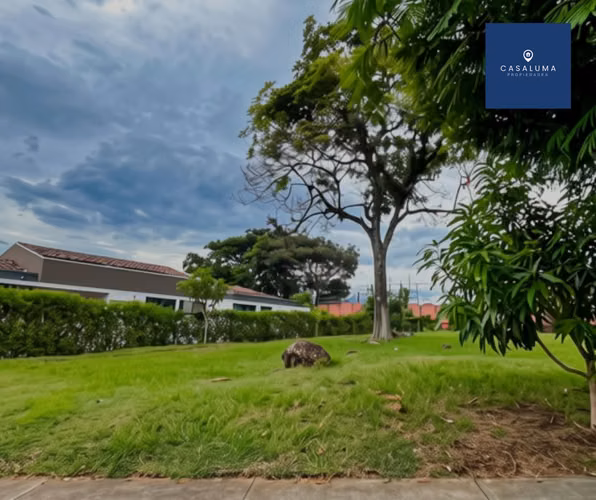 Hermoso lote en venta - Imagen 2