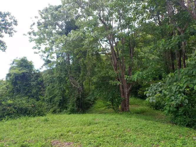 19ha con Selva tropical y Vistas al Golfo de Nicoya (2254) - Imagen 8