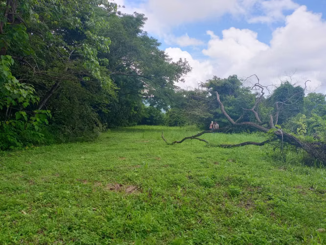 19ha con Selva tropical y Vistas al Golfo de Nicoya (2254) - Imagen 2