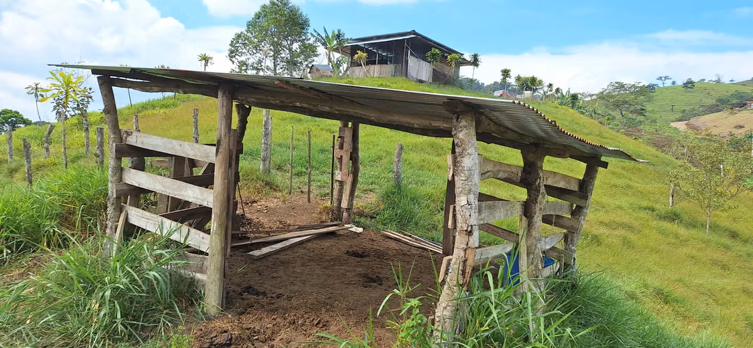 Venta de finca en el Roble de Perez Zeledon - Imagen 2