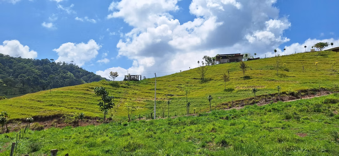Venta de finca en el Roble de Perez Zeledon - Imagen 10