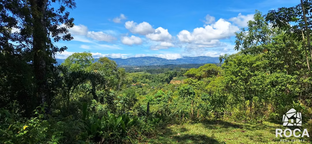 Oasis natural en venta Perez Zeledon - Imagen 8
