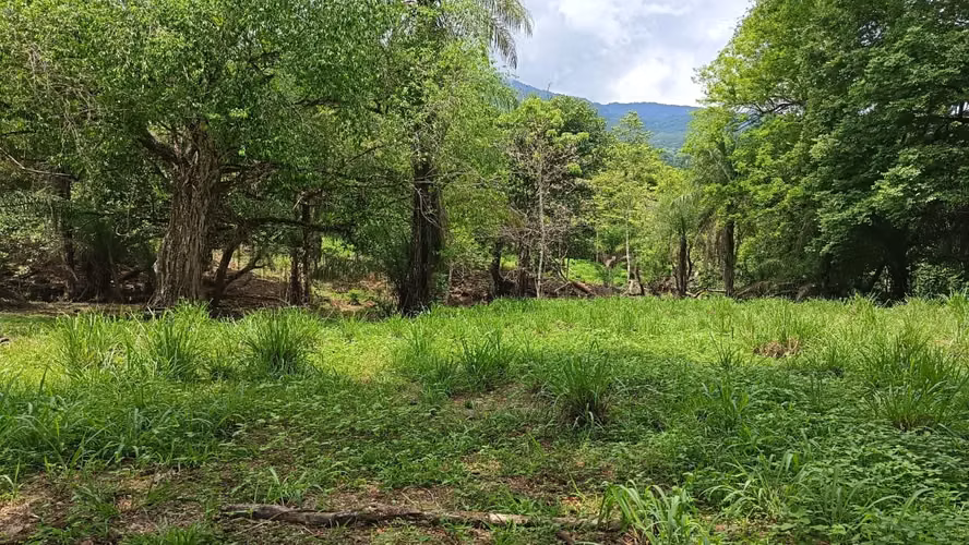 VFIOR - 108 Finca de 7 Hectáreas en Orotina