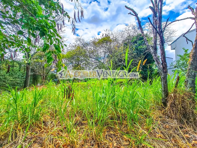 LOTE PLANO DE 1.170 M2 EN SAN RAFAEL DE ESCAZU X LA PACO - Imagen 5